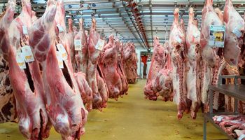 La cadena de las carnes solicita que se profundicen las medidas de control