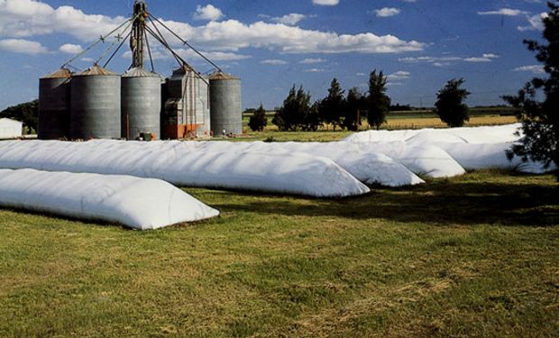 Silo bolsa y su efecto sobre los precios de la soja