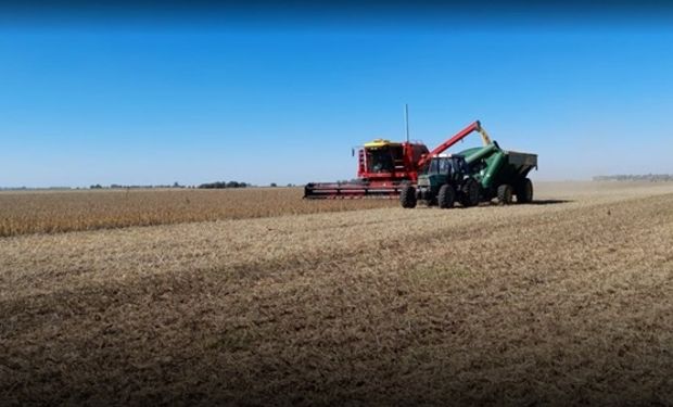 Presión impositiva en el campo: $59 de cada $100 producidos por el agro son para el Estado