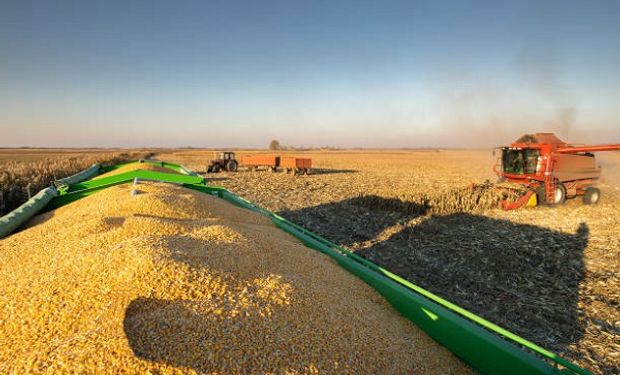 El precio de la soja cayó luego de tocar un máximo de dos semanas: cuánto se pagó en Rosario