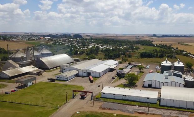 Empresa quer ampliar a capacidade de beneficiamento de soja, bem como da produção de sementes e fertilizantes. (Foto - Divulgação)