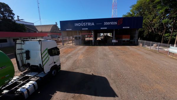 3tentos-processamento-canola-ijui-rs-2025