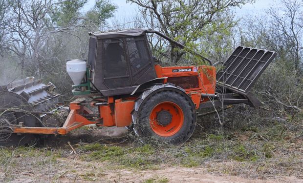 El INTA desarrolló un rolo autopropulsado para sistemas silvopastoriles y es el más corto del mercado