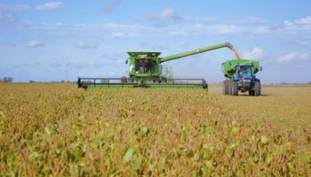 El número que ilusiona al agro: cómo Argentina podría rozar las 251 millones de toneladas y cambiar su motor económico