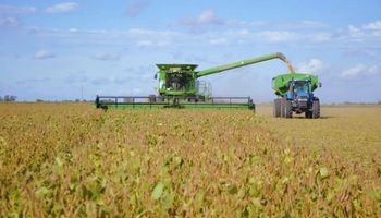 Quiénes están detrás de los granos en Argentina: siete de cada diez hectáreas se siembran en campos alquilados