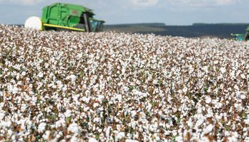 Terras da SLC Agrícola estão avaliadas em R$ 10,9 bilhões