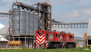 La producción nacional de biodiesel bajó un 40%