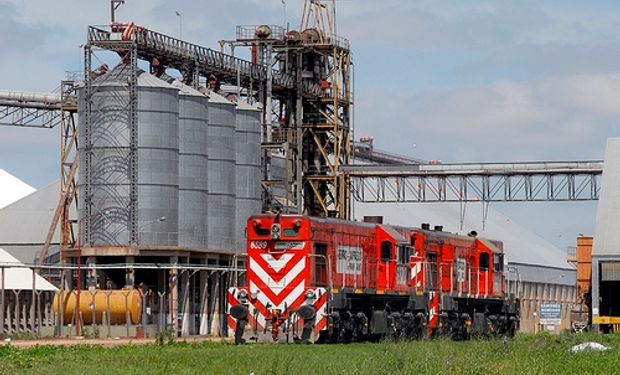 La producción nacional de biodiesel bajó un 40%