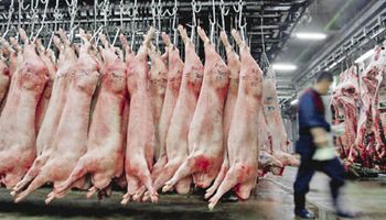 Creció un 23% el consumo de carne porcina en el último año