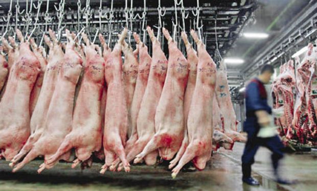 Creció un 23% el consumo de carne porcina en el último año