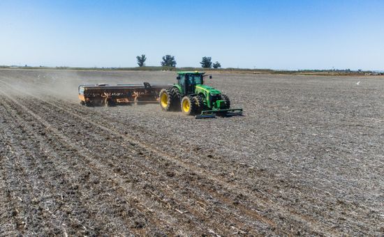 Las condiciones para el cultivo son óptimas, pero el contexto bélico no acompaña; la caída es del 7 % respecto de la campaña nacional anterior