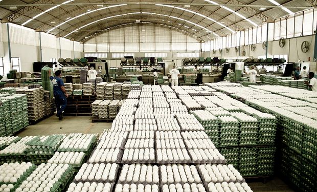 Receita gerada pelas exportações do semestre totalizou US$ 41,2 milhões, número 222,4% superior ao registrado nos seis primeiros meses de 2022
