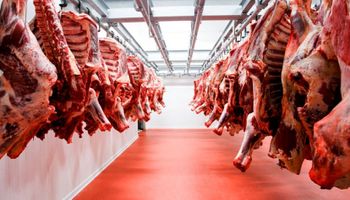 El Gobierno confirmó que la carne bovina y aviar seguirán con retenciones cero hasta el 31 de octubre