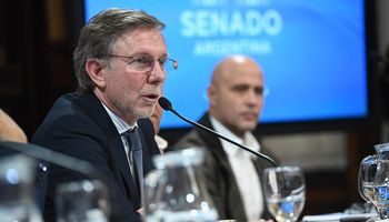 Bahillo confirmó que se “trabaja y analiza” un tipo de cambio para fomentar la venta de soja