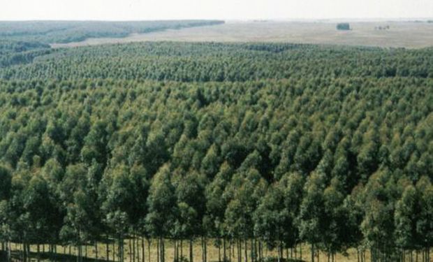 Este programa busca incentivar a los proveedores a realizar acciones que promuevan la concientización del cuidado del ambiente dentro y fuera de las instalaciones.