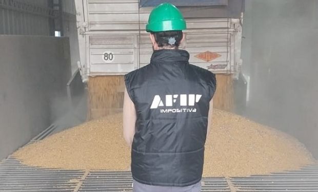 Presión de la AFIP sobre el campo: en 906 fiscalizaciones detectan 760.000 toneladas de granos no declarados