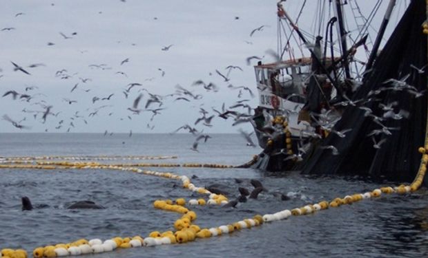 Ley Ómnibus: el Gobierno dará marcha atrás a las modificaciones que liberan la pesca en el Mar Argentino 