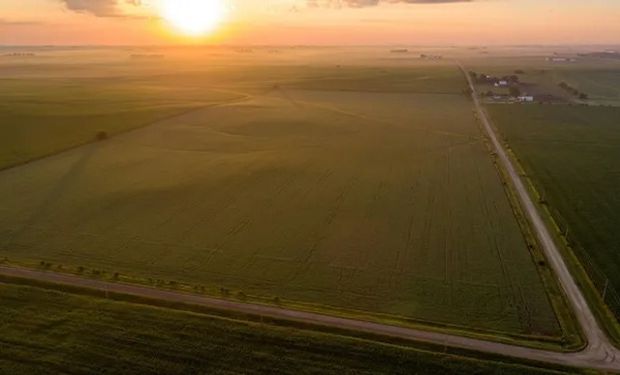 Récord: pagaron US$ 4.000.000 por un campo agrícola de Estados Unidos