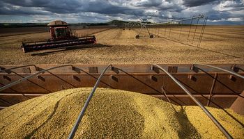 Los riesgos de heladas en Argentina apoyaron los precios de la soja en Chicago: cuánto se pagó en Rosario