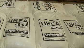 Precios en alza para los insumos