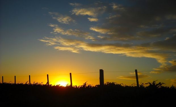 Lluvias: el marcado “achatamiento” de la nubosidad limita la potencial oferta de agua