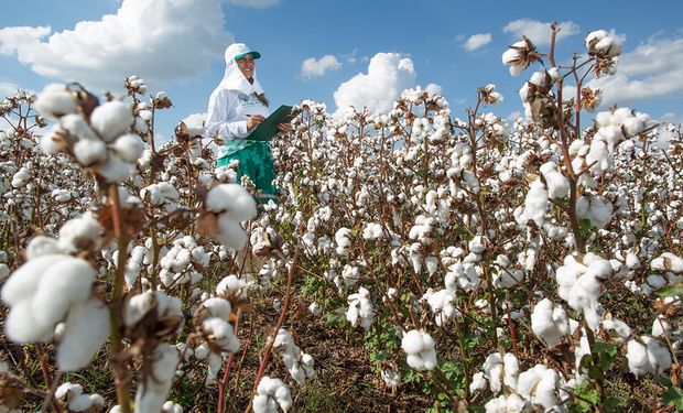 Nesta chamada, foram vencedoras propostas de entidades credenciadas na ANATER para prestar serviços de assistência técnica e extensão rural em 20 estados