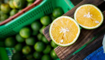 Disponibilidade de laranjas in natura no mercado deve seguir baixa em julho