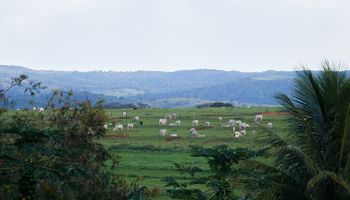 CNA desenvolve aplicativo com foco na redução da criminalidade no campo