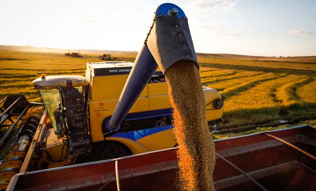 Após queda em março, cotação do arroz se recupera na primeira quinzena de abril