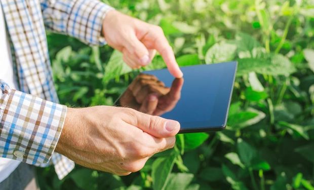 El curso está dirigido a todos los involucrados en la cadena de valor del sector agroalimentario de la Argentina.