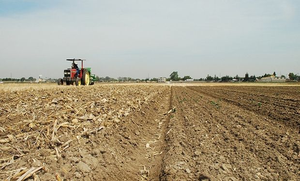 La participación del Estado en la renta agrícola es de 73,6%,