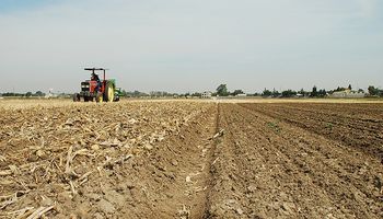 Altas temperaturas y falta de lluvias