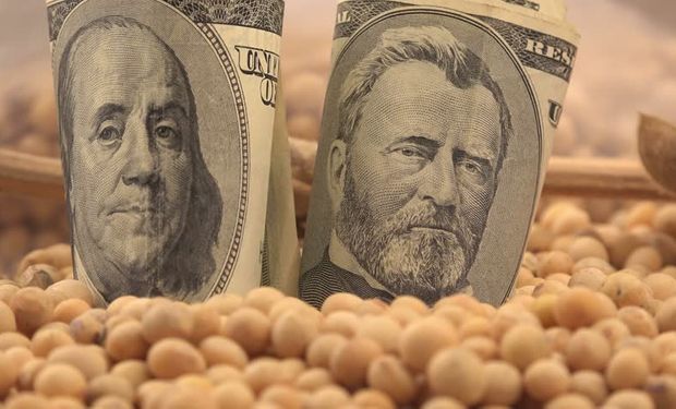 Soja y dólar: cuál es el valor real en el mercado local.