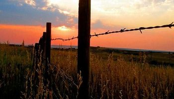 Sin lluvias para los próximos días, se espera un leve alivio en las temperaturas