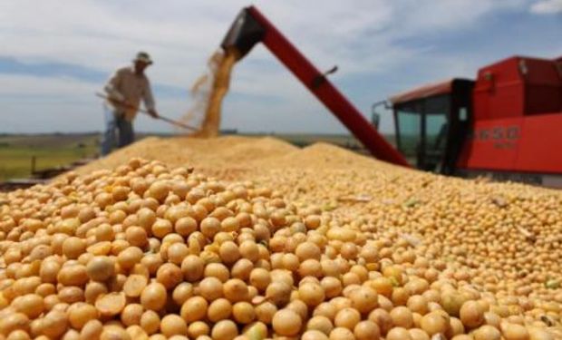 Paraguay: soja impulsó las exportaciones