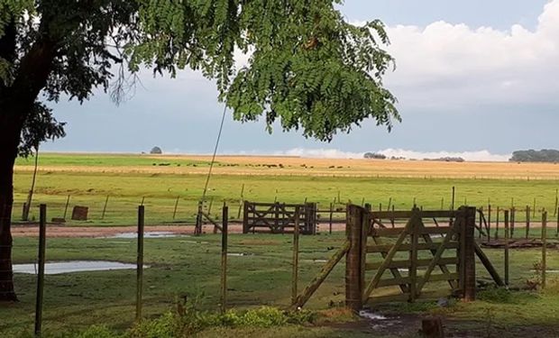 Lluvias: qué zonas recibieron acumulados y las regiones que siguen bajo alerta del Servicio Meteorológico Nacional