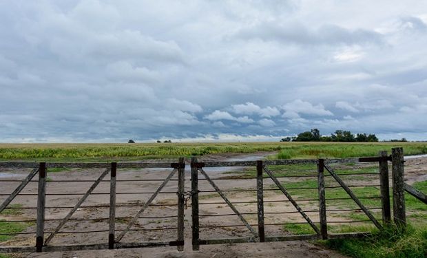 Por vientos, lluvias y tormentas: seis provincias se encuentran bajo alerta amarillo del SMN   