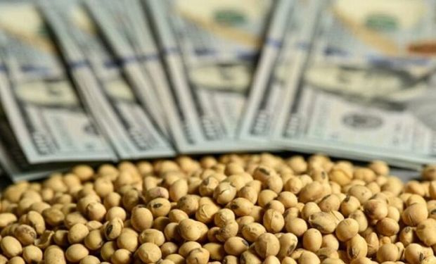 Los factores climáticos ejercen presión en el precio de la soja en Chicago: cuánto se pagó en Rosario