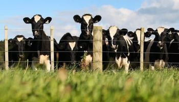 A la defensiva: así viven los tamberos de Estados Unidos el brote de gripe aviar en vacas