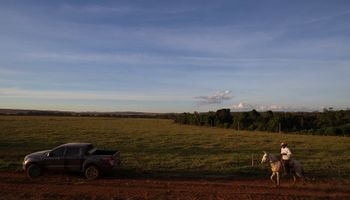 ¿La nueva Argentina? Por qué las empresas de agro que no se adapten van a desaparecer