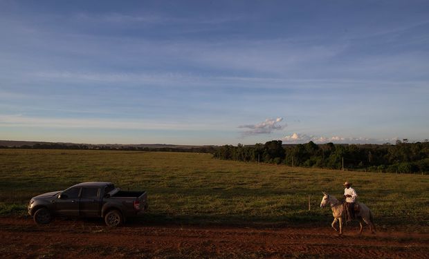 ¿La nueva Argentina? Por qué las empresas de agro que no se adapten van a desaparecer