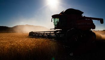 Preços do trigo mantém tendência de crescimento no início de junho
