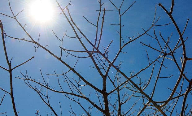 Mês foi marcado por eventos extremos de temperaturas e baixos valores de umidade relativa do ar. (Foto - Paulo H. Carvalho/Agência Brasília)