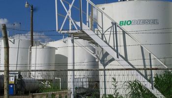 K.O. al biodiesel