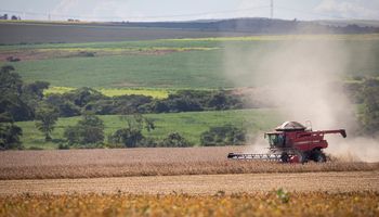 Lo que le sobra a Brasil, le falta a la Argentina