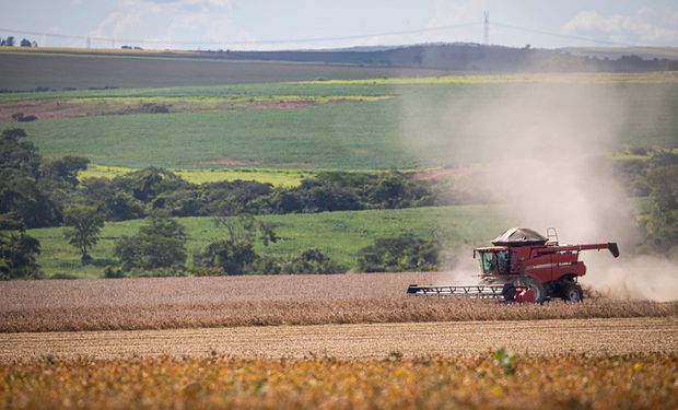 Charlas de redacción: lo que le sobra a Brasil, le falta a la Argentina