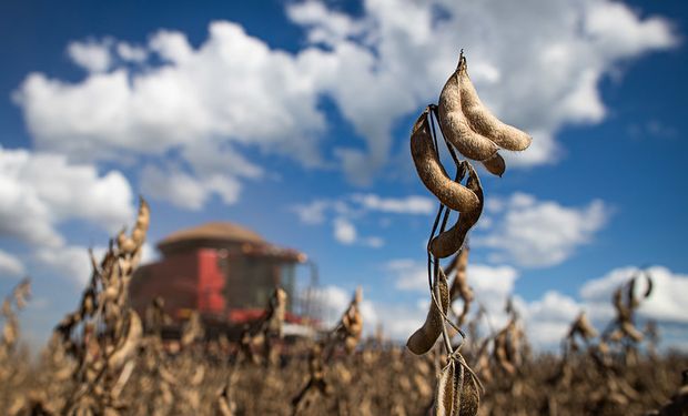 Soja fecha mês de maio com tendência de queda