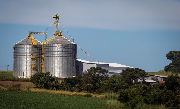 O crescimento médio da safra de grãos tem sido de 12,9 milhões de tons por ano e a capacidade média de armazenagem é de 4,4 milhões de toneladas