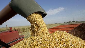 Más exportación de granos en 2014