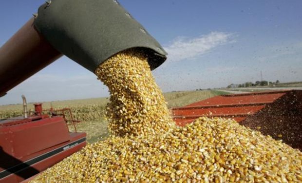 Mayor competitividad cambiaria para el agro: ¿podrá sostenerse?